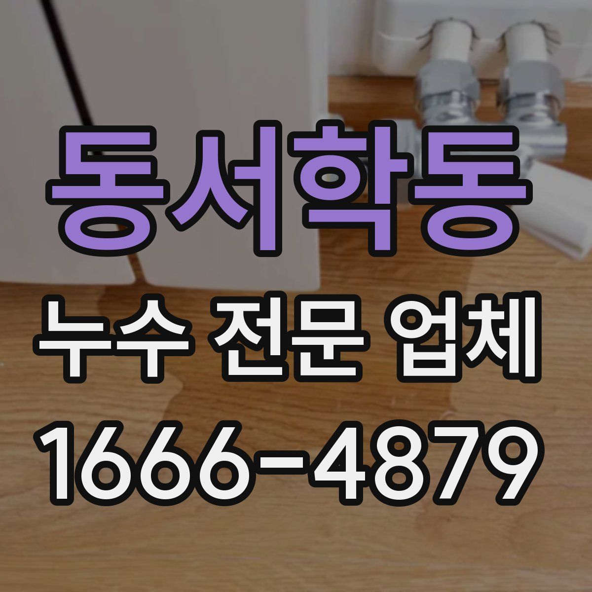 동서학동 누수 전문 업체
