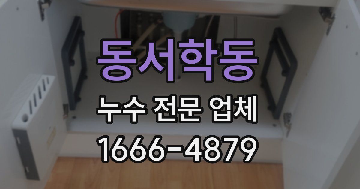 동서학동 누수 전문 업체