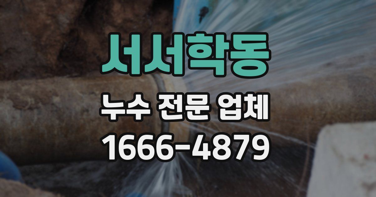 서서학동 누수 전문 업체