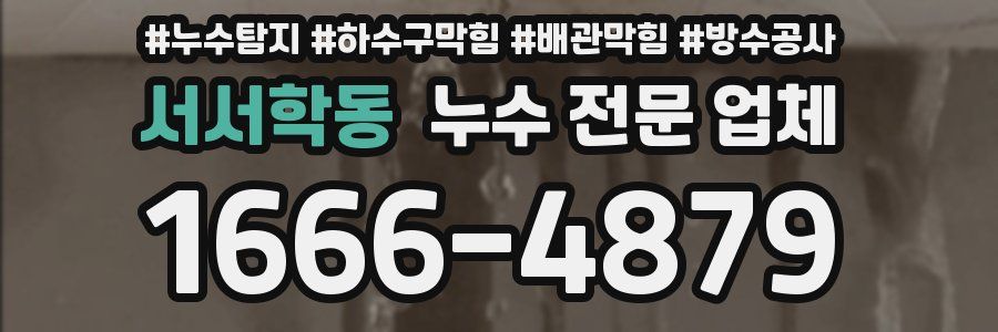 서서학동 누수 전문 업체