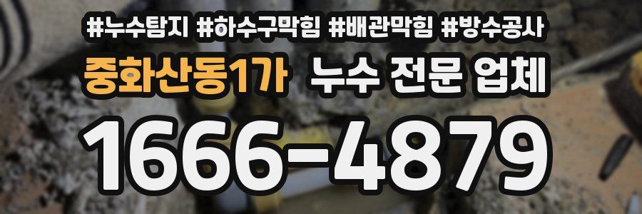 중화산동1가 누수 전문 업체