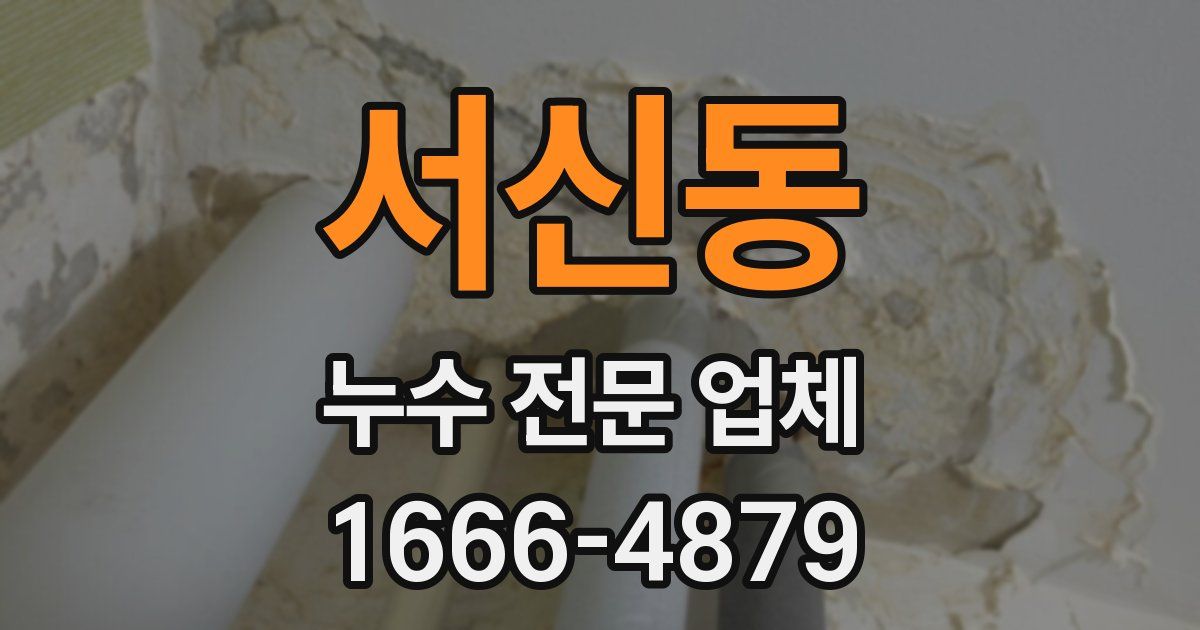 서신동 누수 전문 업체