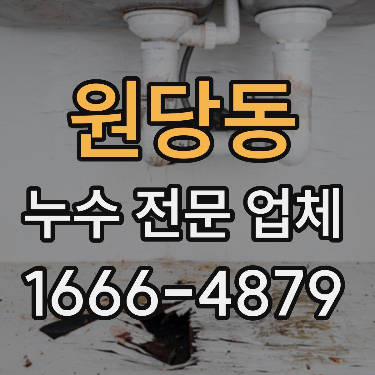 원당동 누수 전문 업체