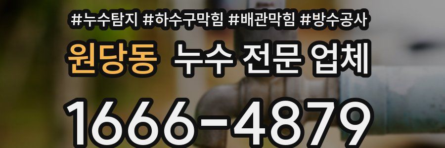 원당동 누수 전문 업체