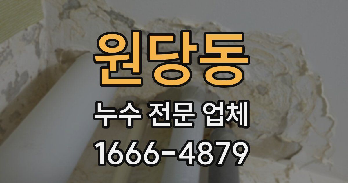 원당동 누수 전문 업체