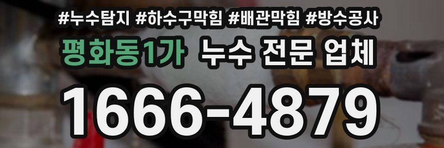 평화동1가 누수 전문 업체