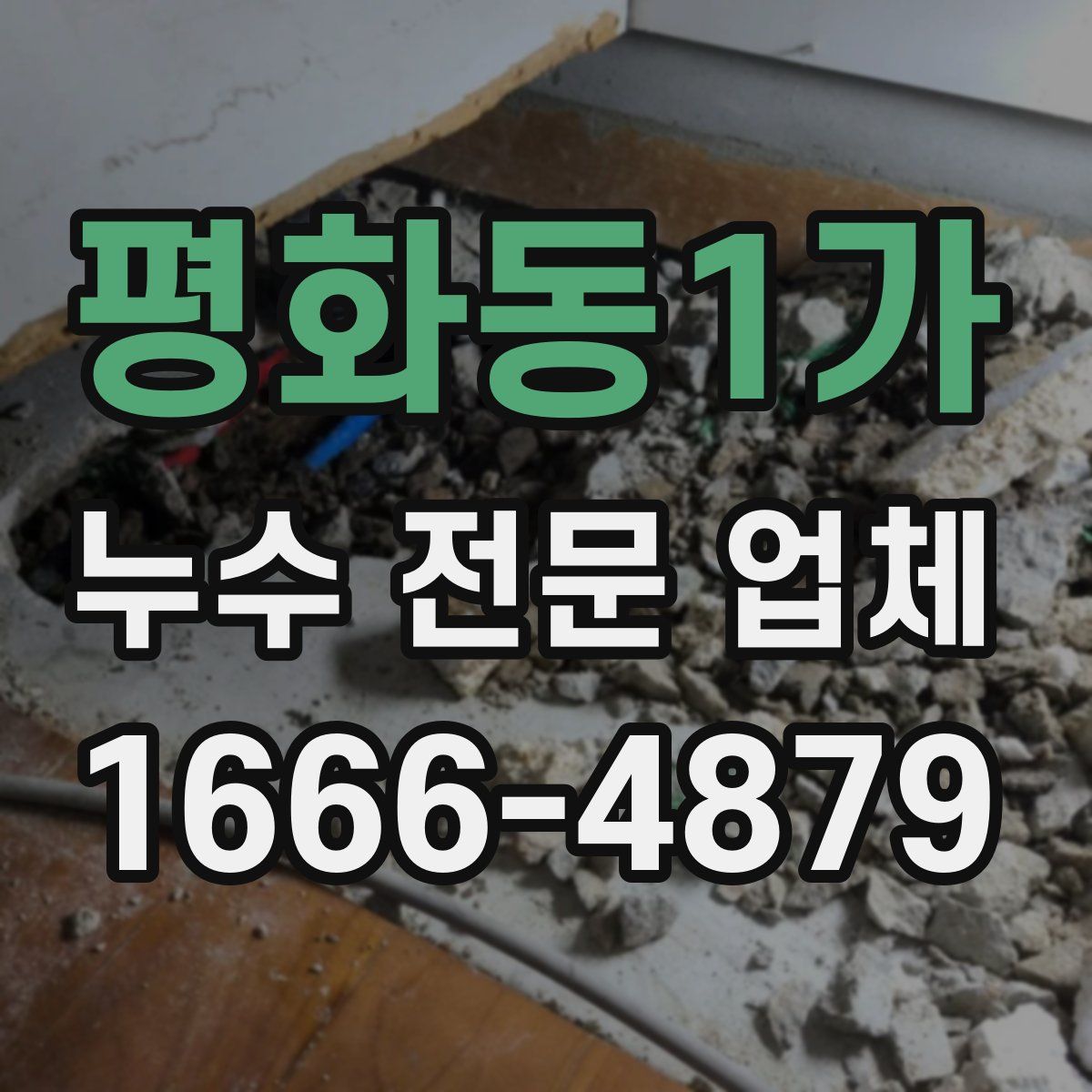 평화동1가 누수 전문 업체