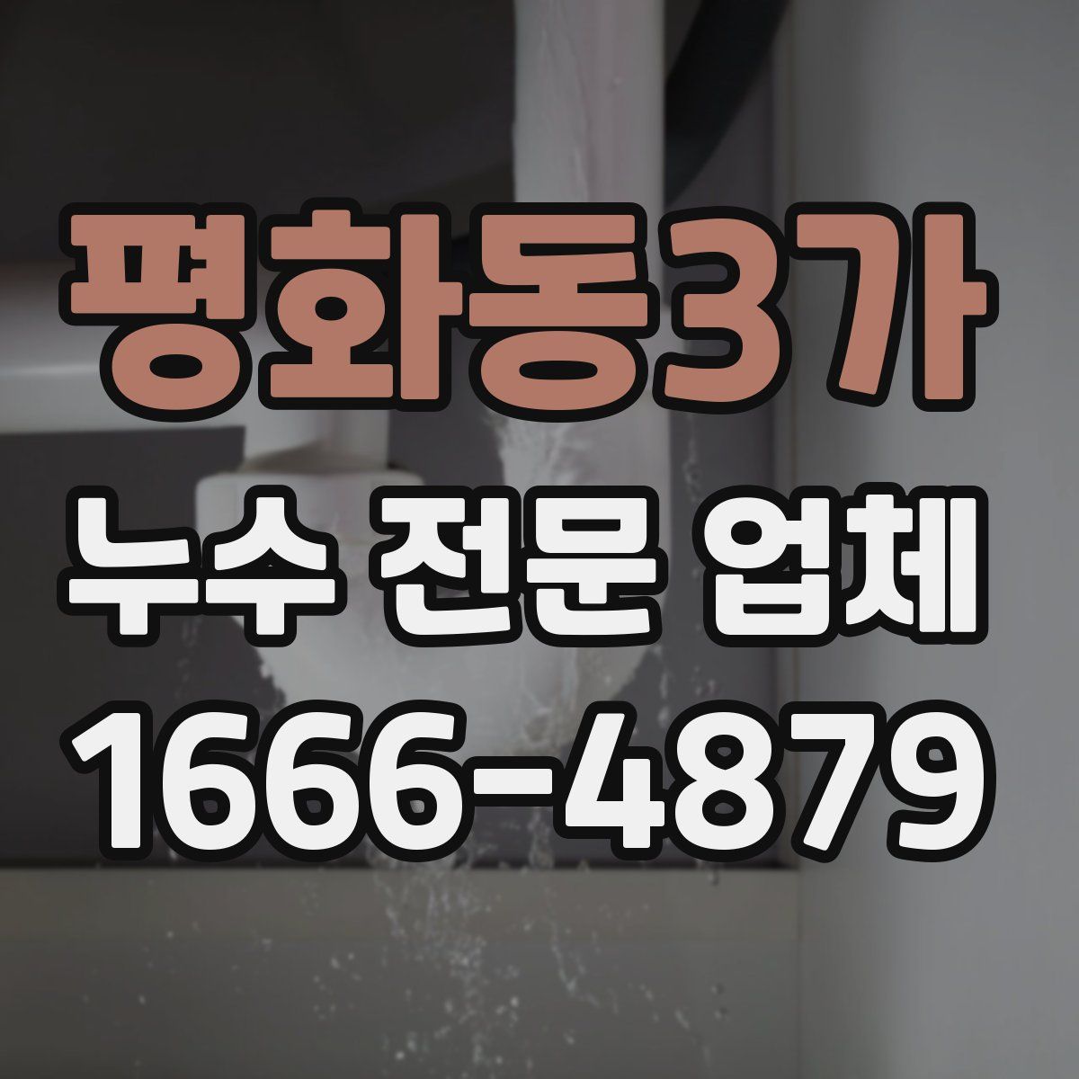 평화동3가 누수 전문 업체