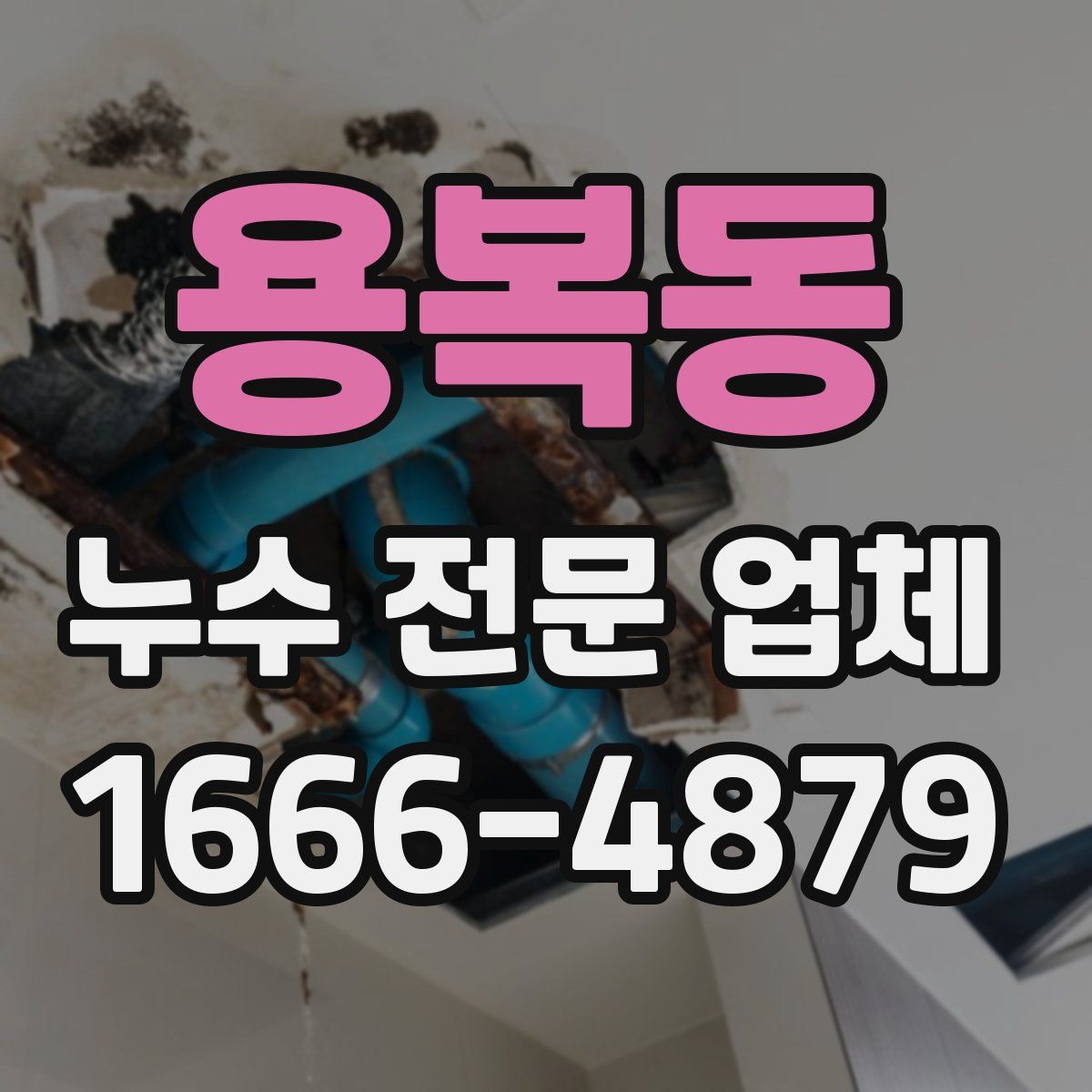 용복동 누수 전문 업체