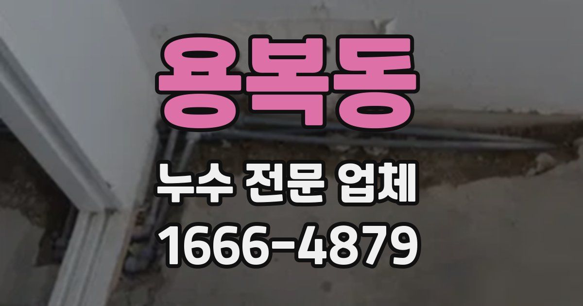 용복동 누수 전문 업체