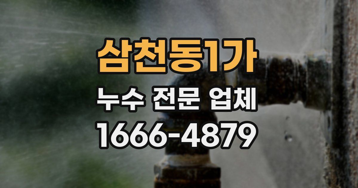 삼천동1가 누수 전문 업체