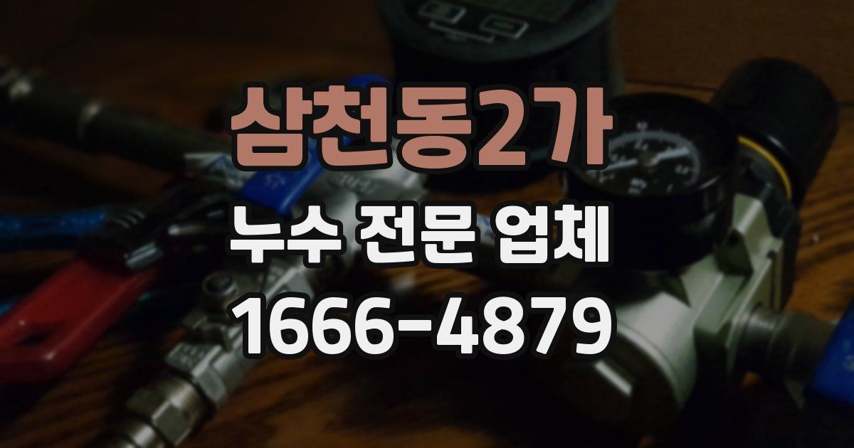 삼천동2가 누수 전문 업체
