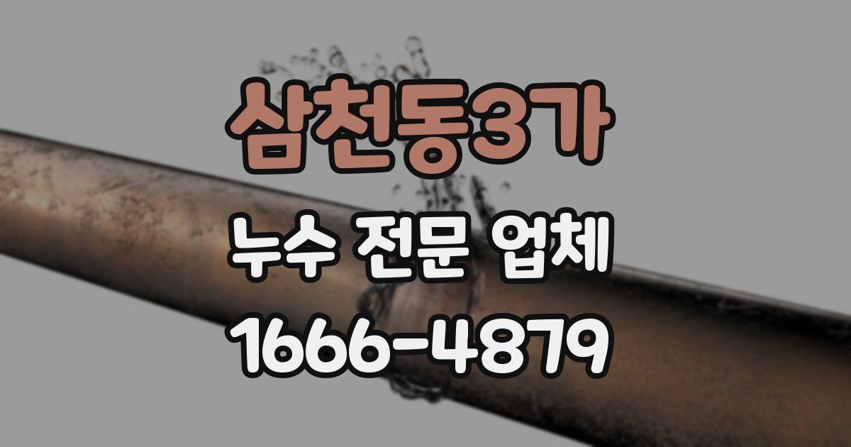 삼천동3가 누수 전문 업체