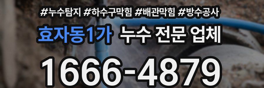 효자동1가 누수 전문 업체