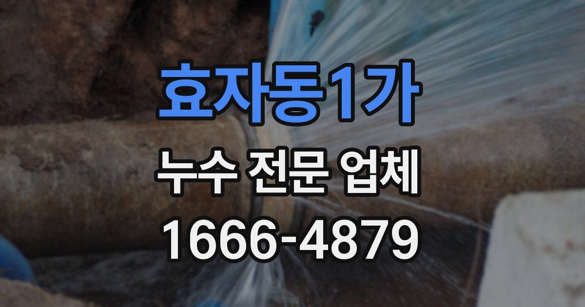 효자동1가 누수 전문 업체