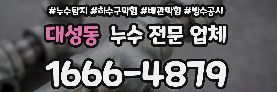 대성동 누수 전문 업체