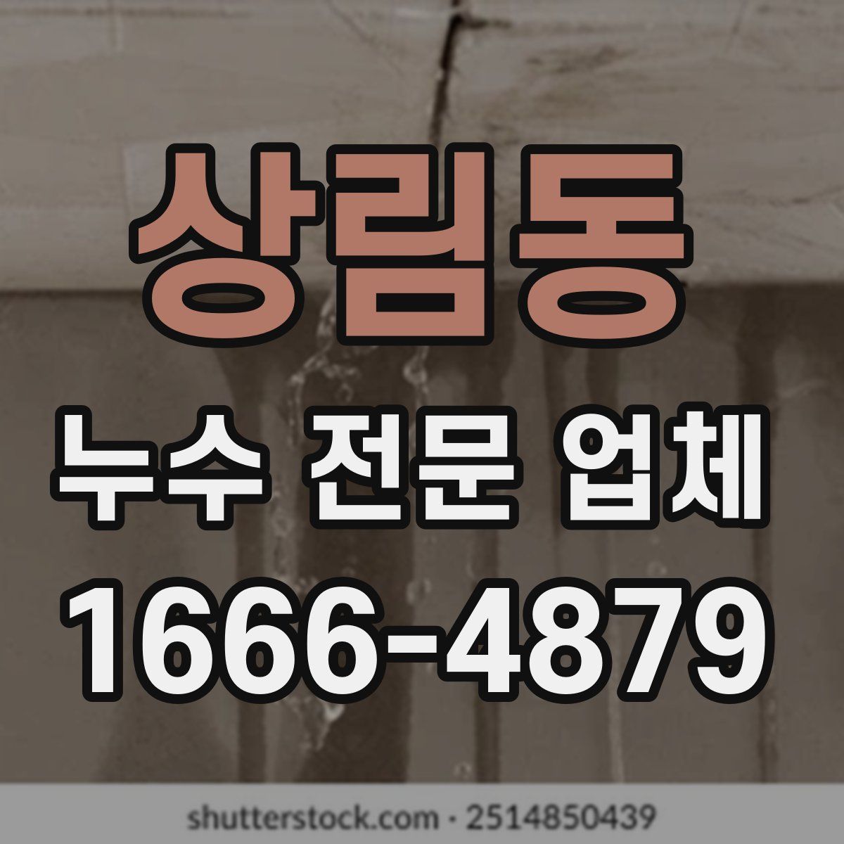 상림동 누수 전문 업체