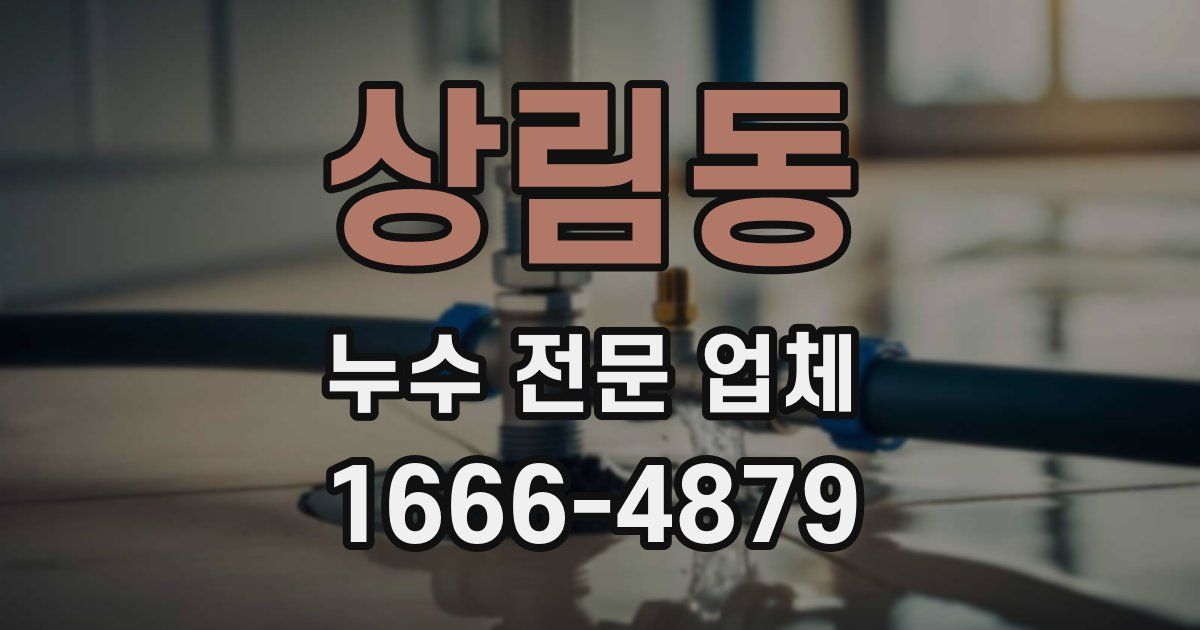 상림동 누수 전문 업체