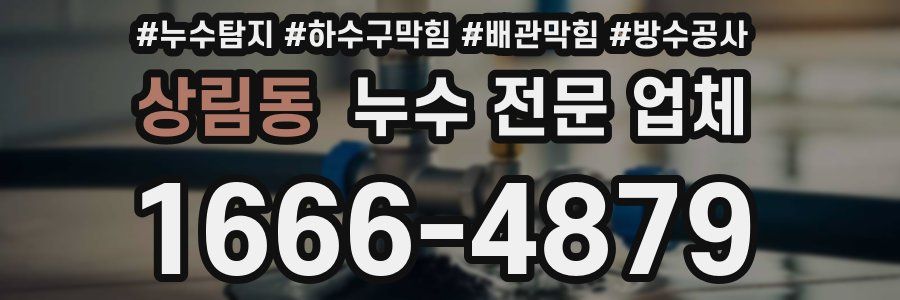 상림동 누수 전문 업체