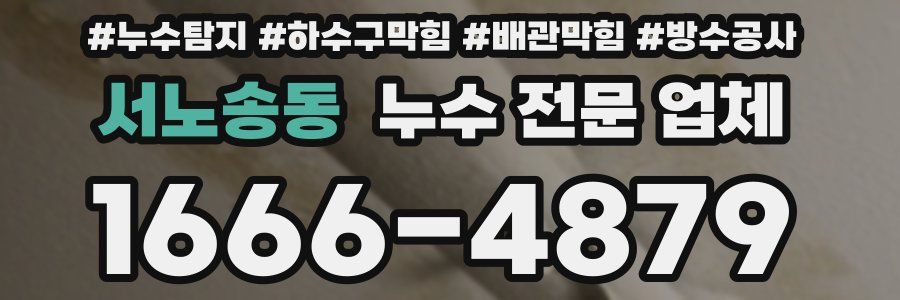 서노송동 누수 전문 업체