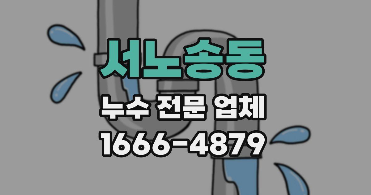 서노송동 누수 전문 업체