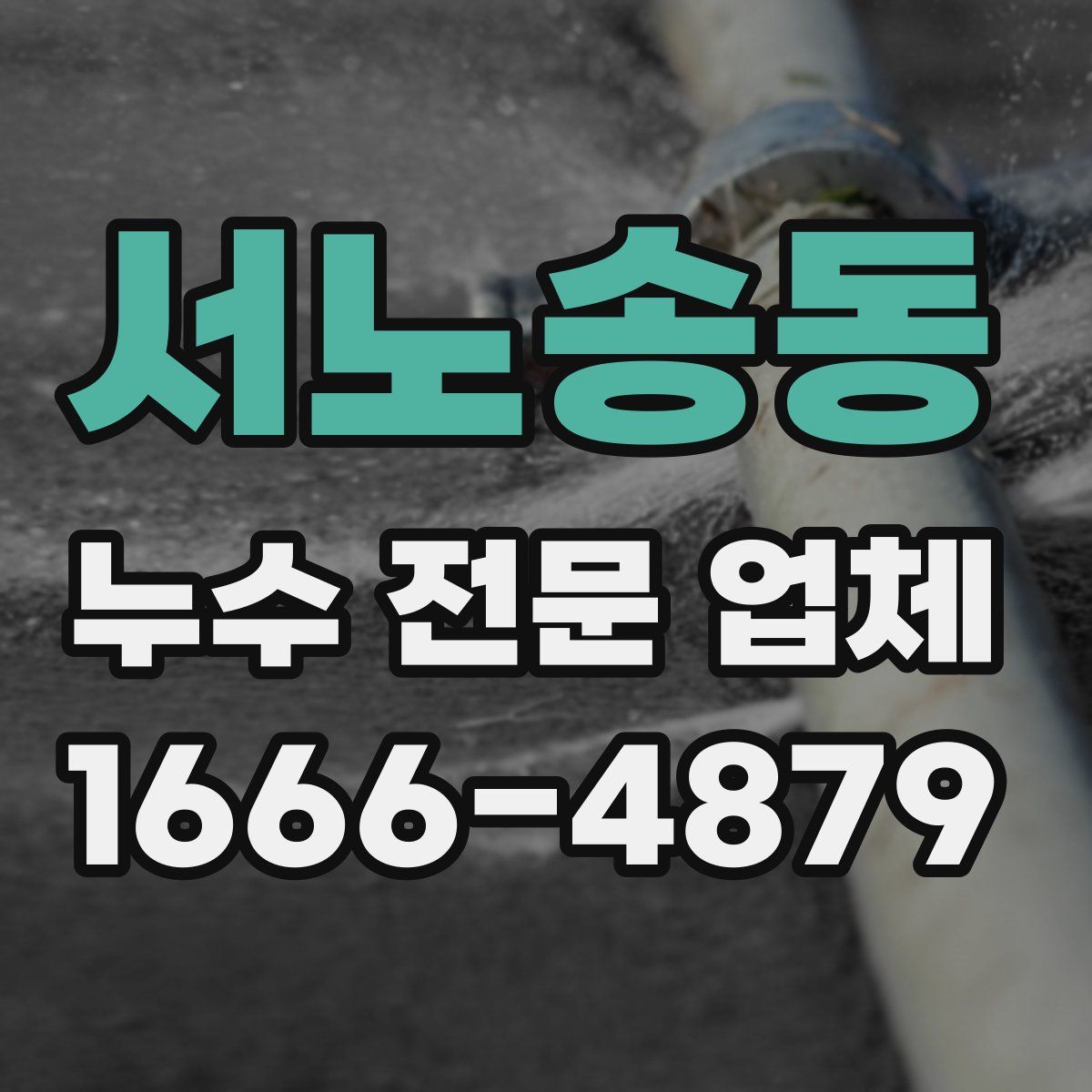 서노송동 누수 전문 업체