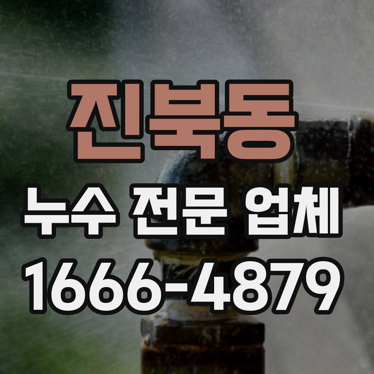 진북동 누수 전문 업체