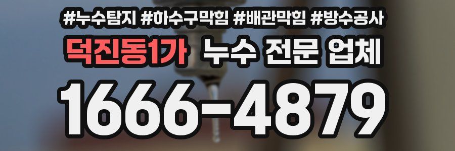 덕진동1가 누수 전문 업체