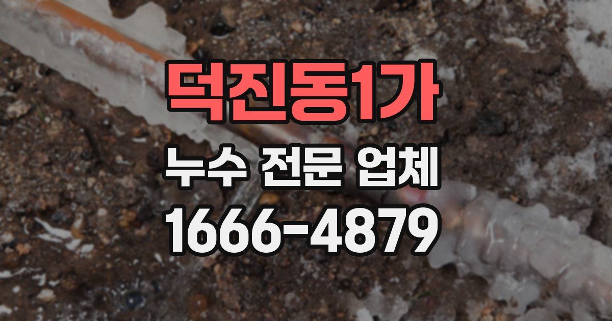 덕진동1가 누수 전문 업체