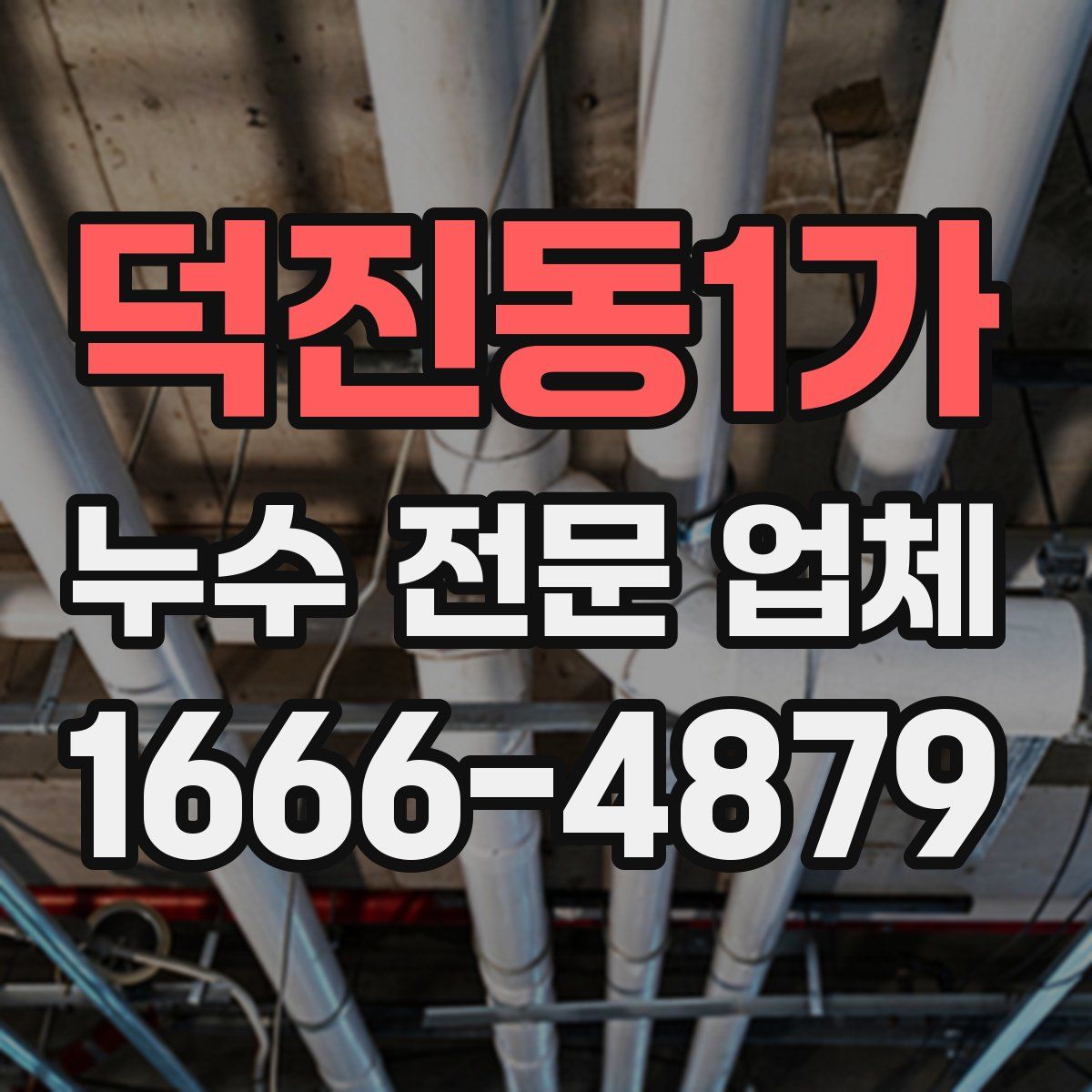 덕진동1가 누수 전문 업체