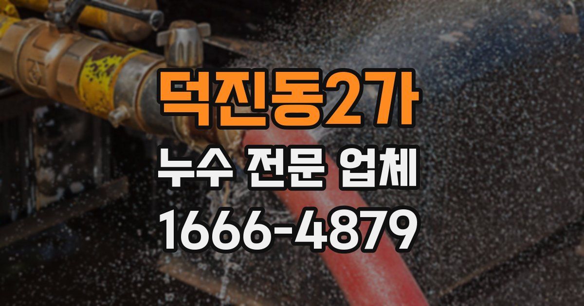덕진동2가 누수 전문 업체