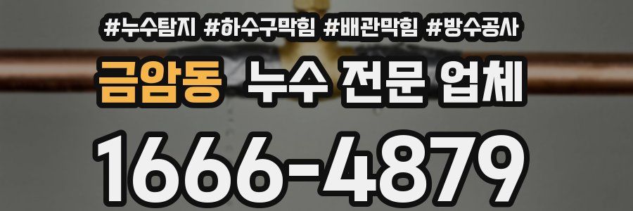 금암동 누수 전문 업체