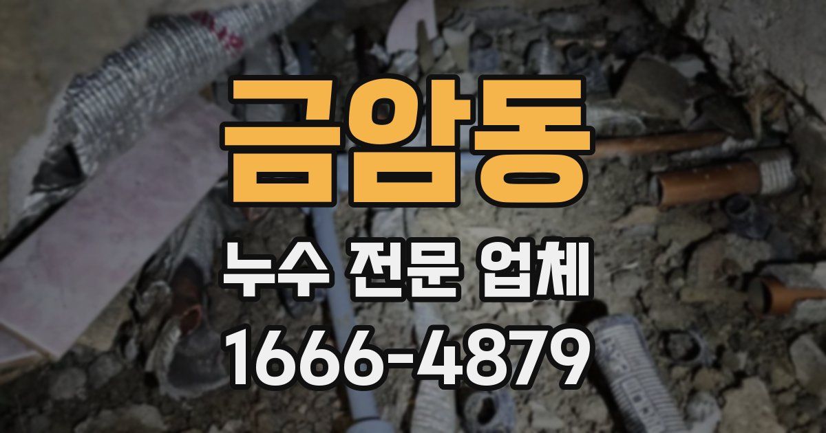 금암동 누수 전문 업체