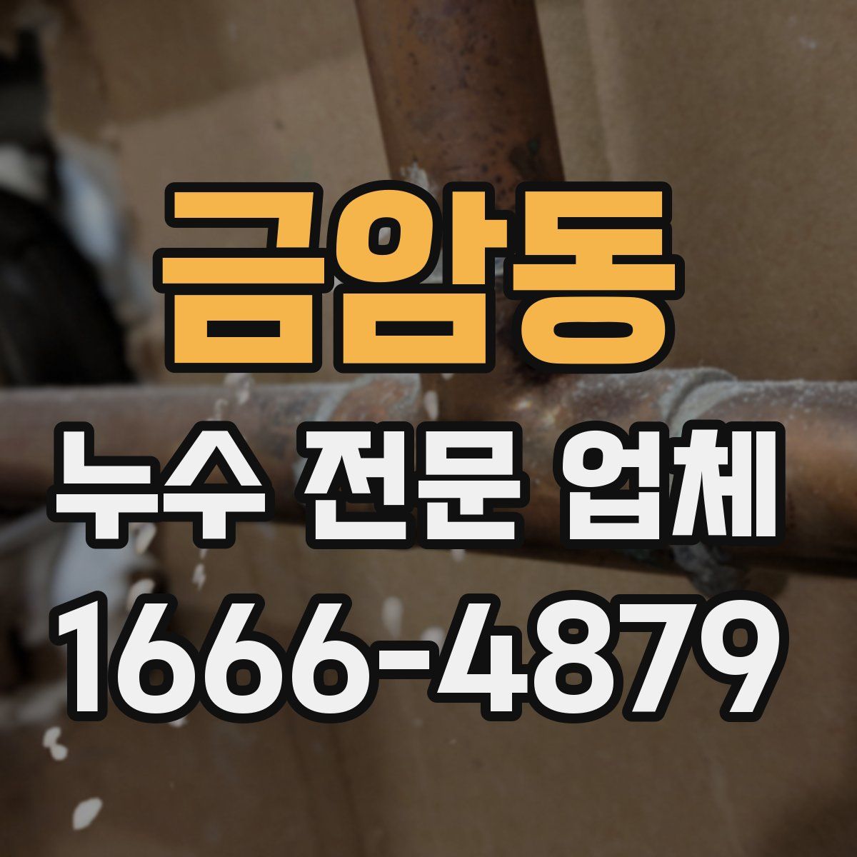 금암동 누수 전문 업체