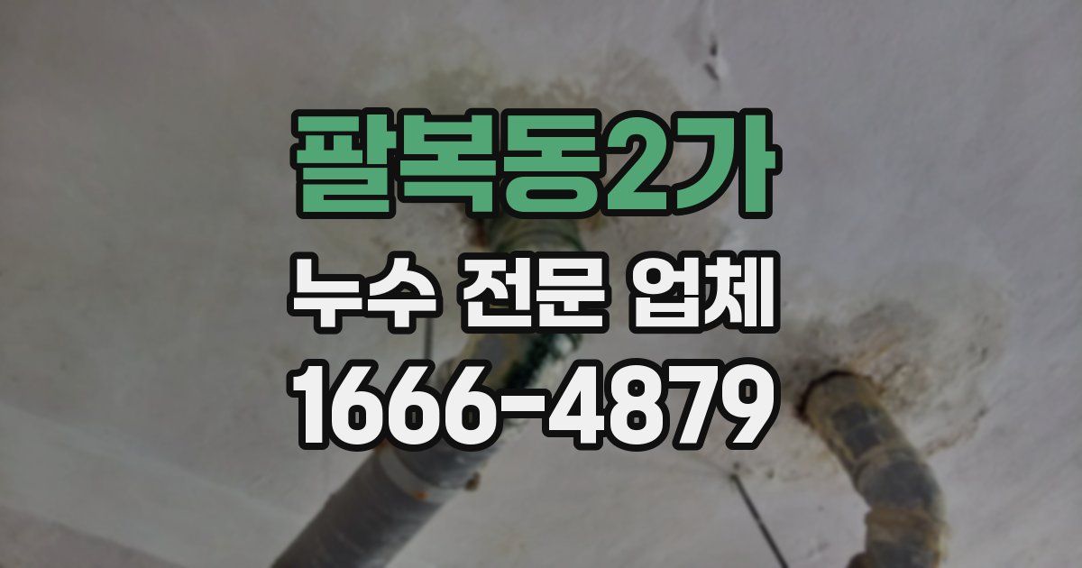 팔복동2가 누수 전문 업체