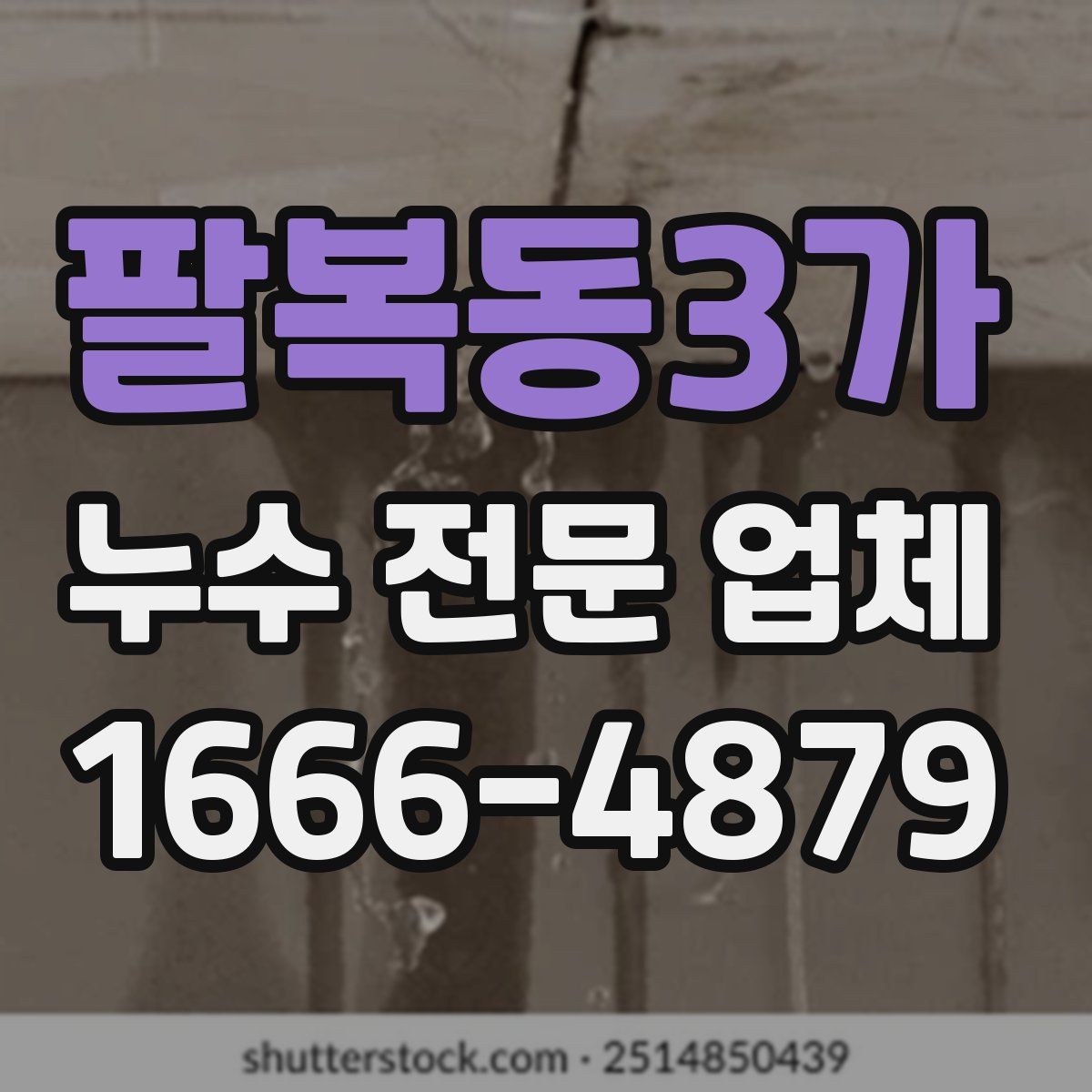 팔복동3가 누수 전문 업체