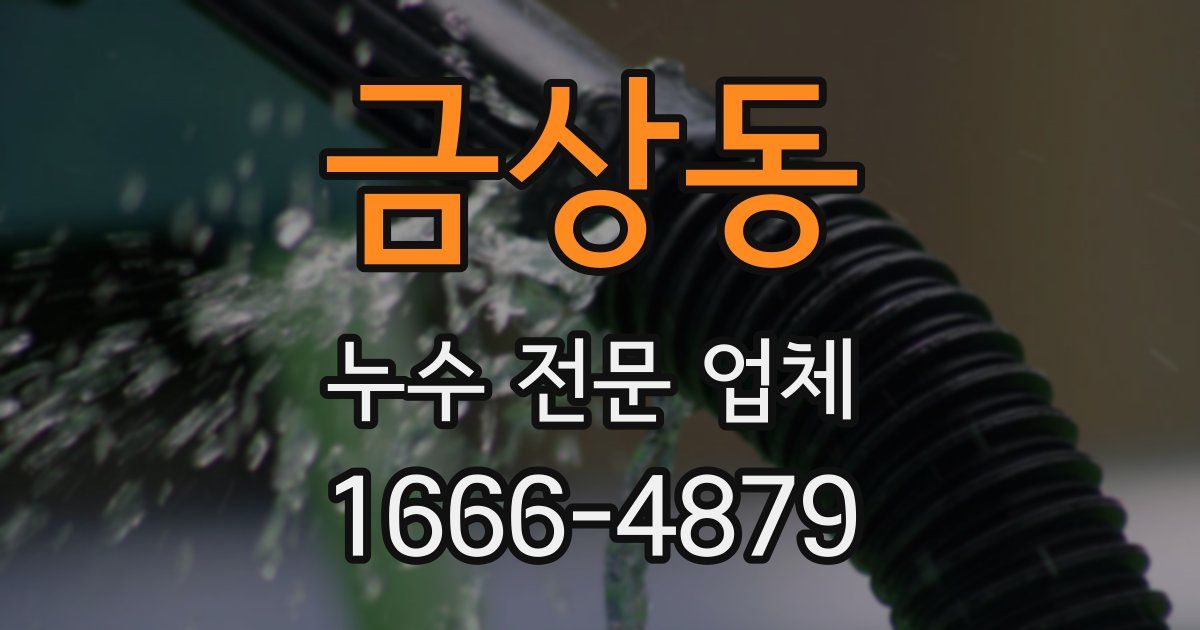 금상동 누수 전문 업체