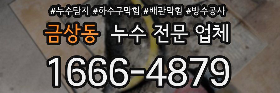 금상동 누수 전문 업체