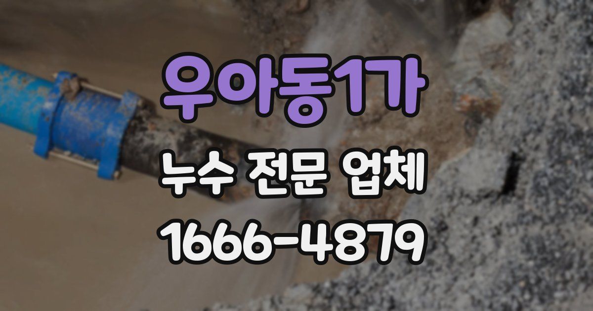 우아동1가 누수 전문 업체