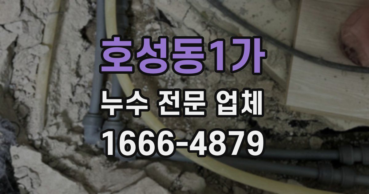 호성동1가 누수 전문 업체