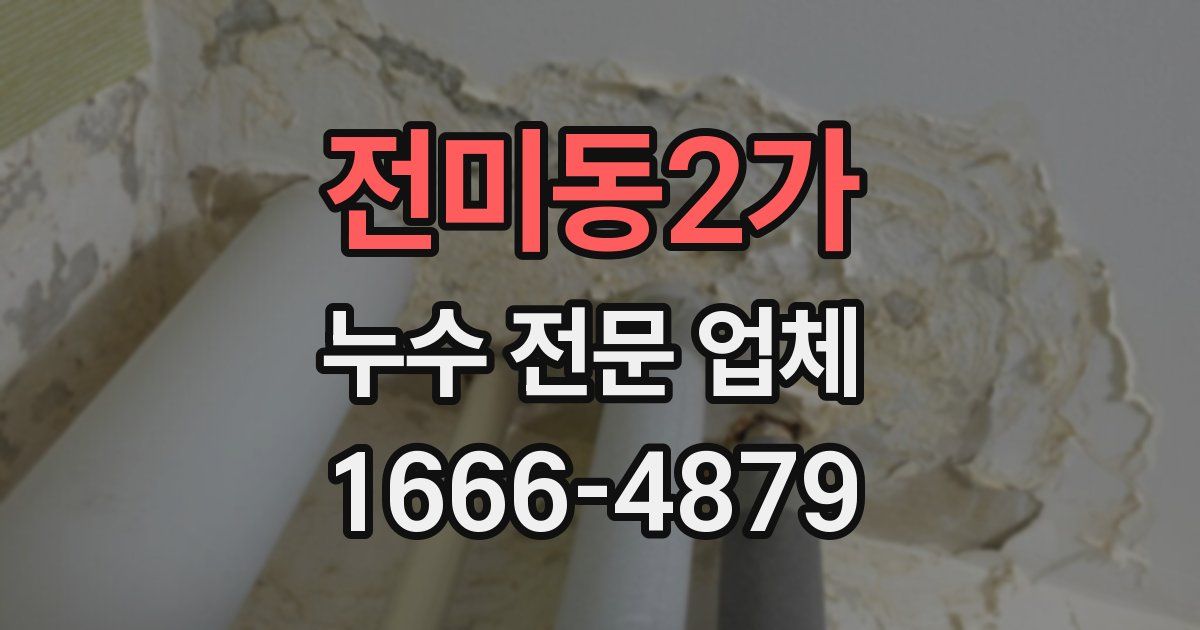 전미동2가 누수 전문 업체