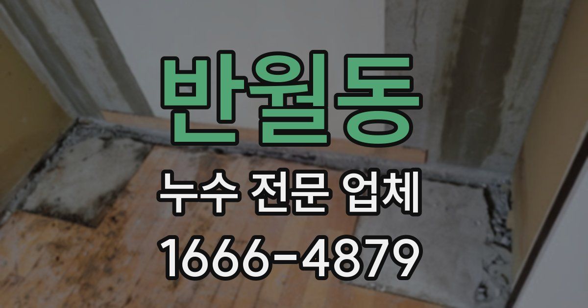 반월동 누수 전문 업체