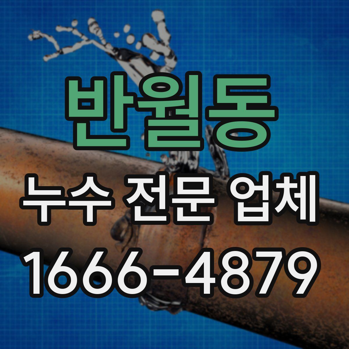 반월동 누수 전문 업체