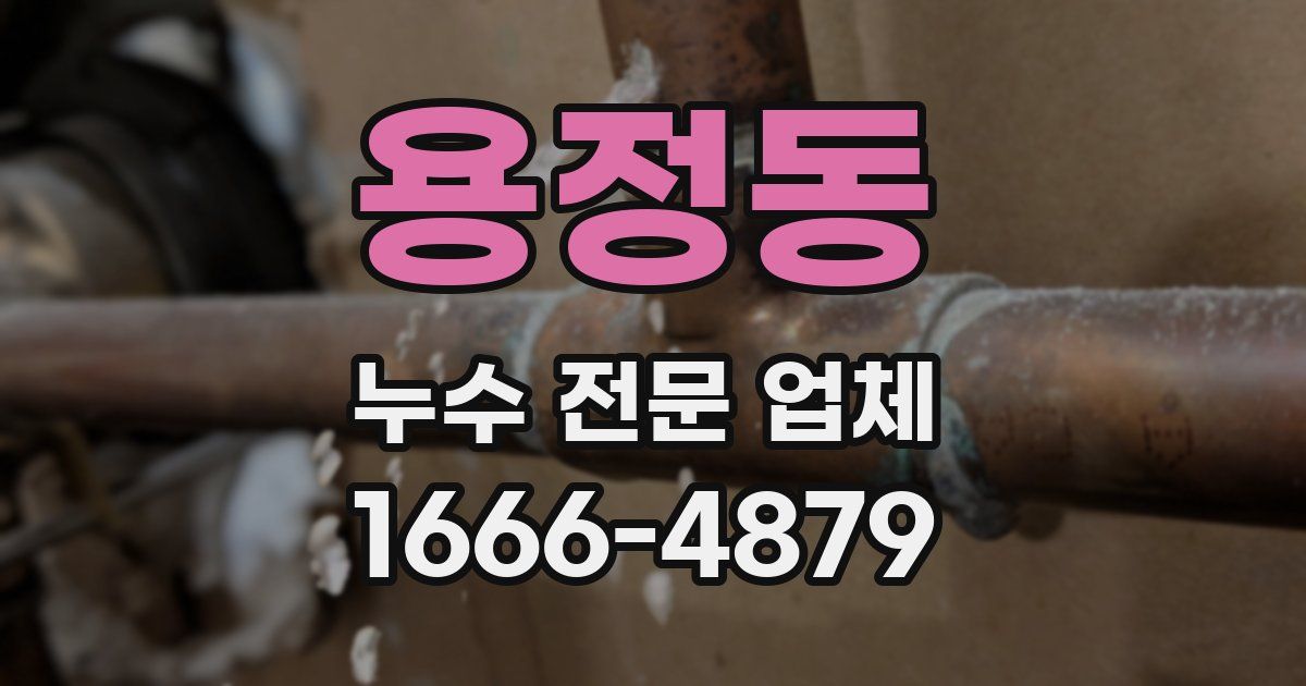 용정동 누수 전문 업체