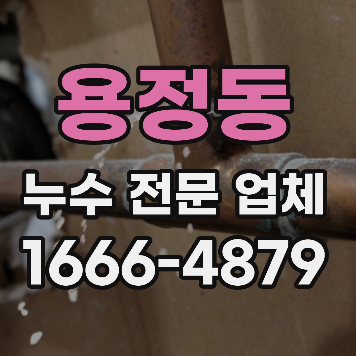 용정동 누수 전문 업체