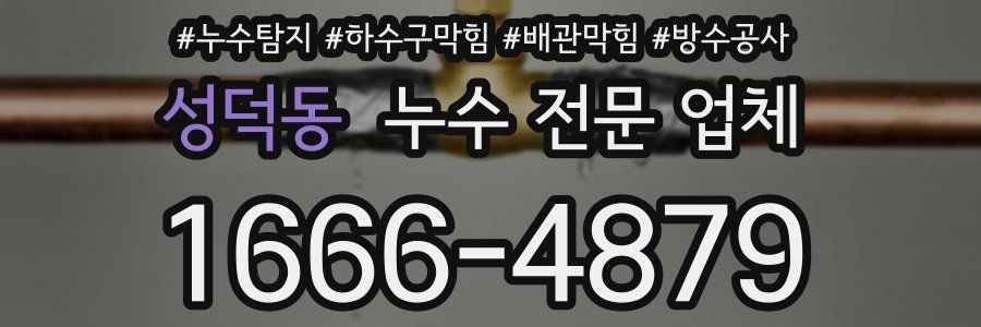 성덕동 누수 전문 업체