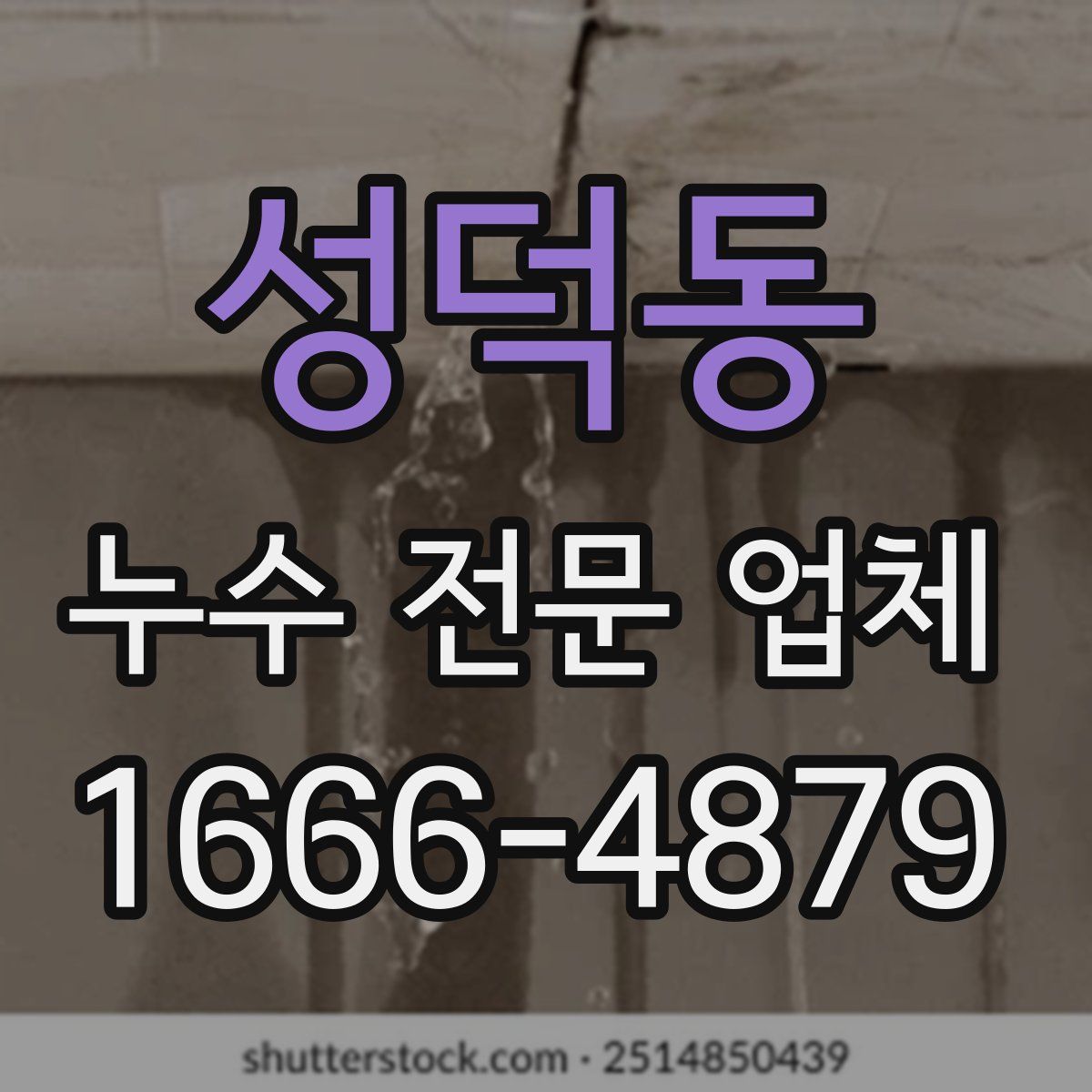 성덕동 누수 전문 업체
