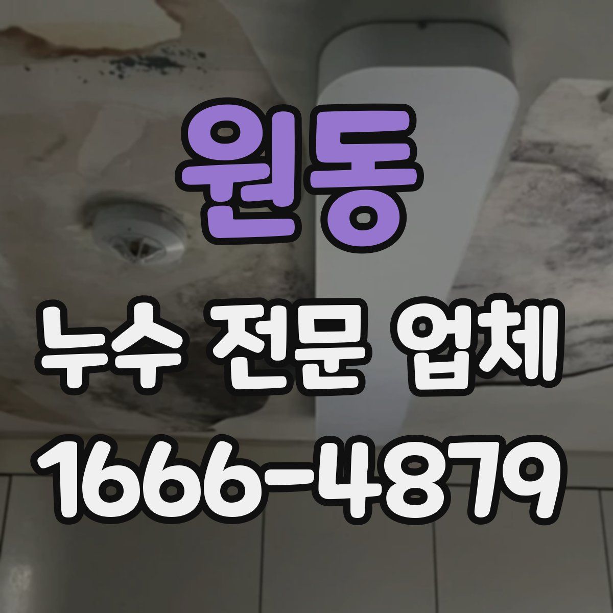 원동 누수 전문 업체