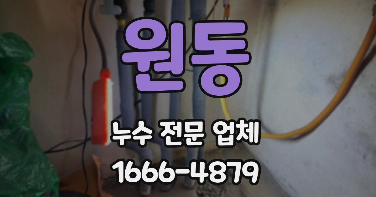 원동 누수 전문 업체