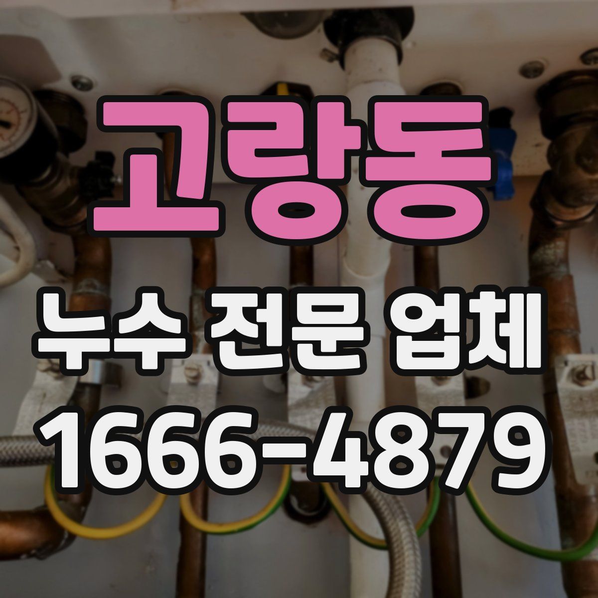 고랑동 누수 전문 업체